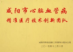 咸陽市心腦血管病精準(zhǔn)醫(yī)療技術(shù)創(chuàng)新團(tuán)隊(duì)